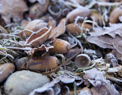 **Lagebericht Deutschland – Stand heute → Ampel: **🟡 Gelb