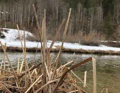Lagebrief Deutschland – Ampel: 🟡 Gelb